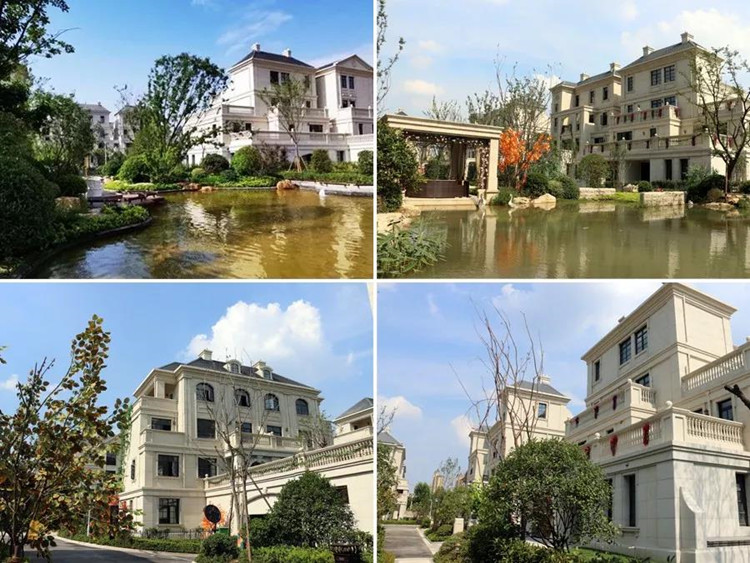 微信图片_20190722152320_副本.jpg